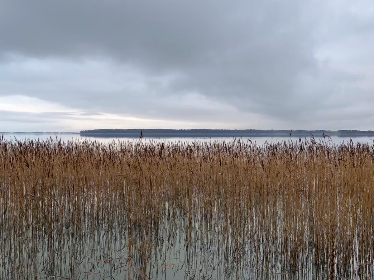 Winter Solstice 2025